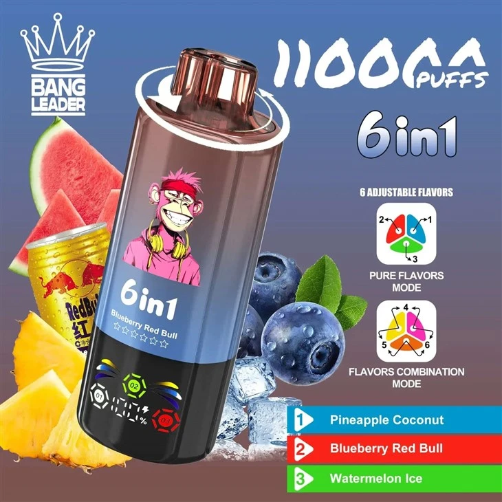 Bang Leglend 6in1 Vape 110k Puffs best