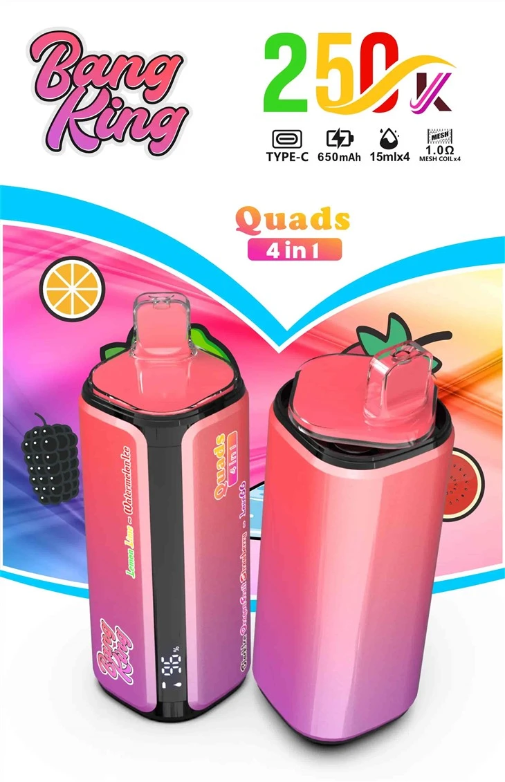 Bang King 250K puff bar 4 in1 vaping